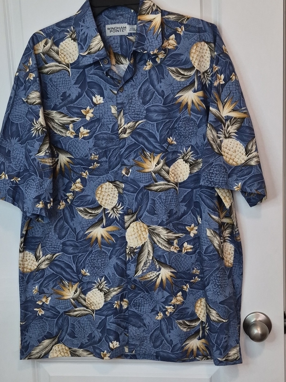 Windham Pointe Men's Blue Pineapple Print Hawaiian Polo